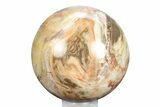 Colorful Petrified Wood (Araucaria) Sphere - Madagascar #245544-1
